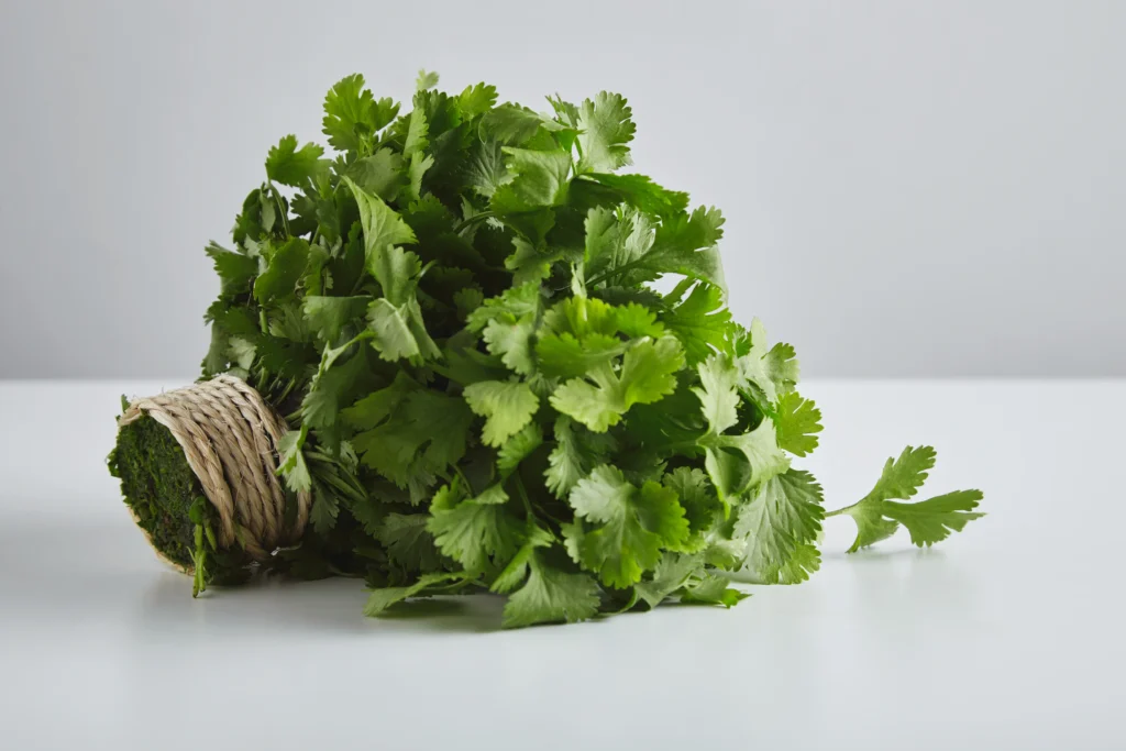 Coriander